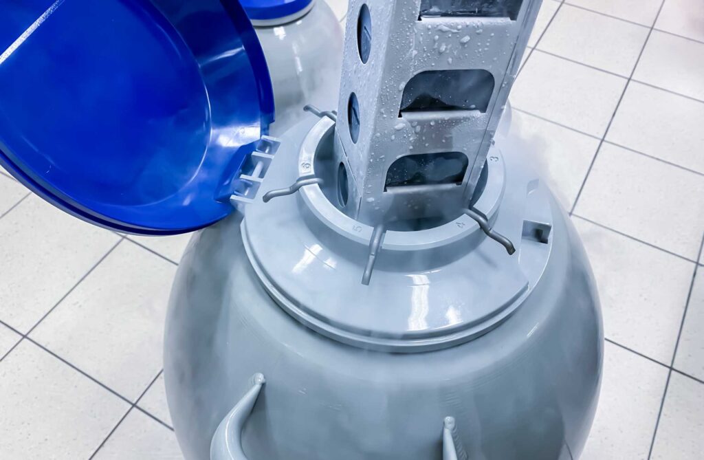 invriezen eicellen kosten